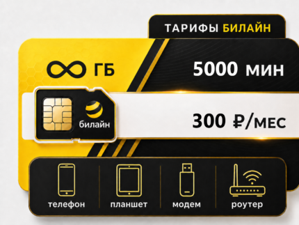 Тариф Билайн "Х7 300" (саморегистрация)