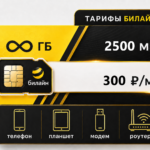 Тариф Билайн "Для себя за 300" (саморегистрация)